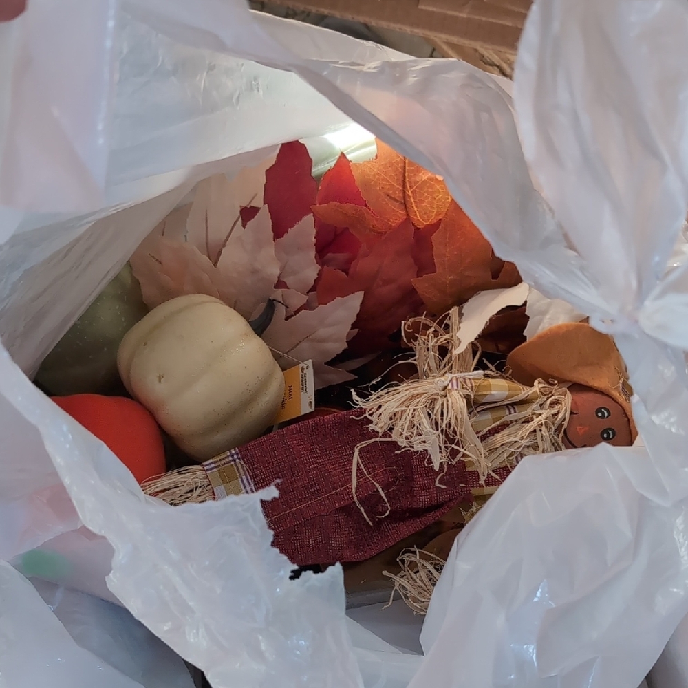 2/16🎈Fall Decor Bundle